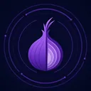 Tor onion network anonymous access